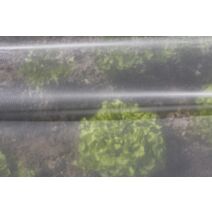 Film de forçage anti-insectes 1,40x10m